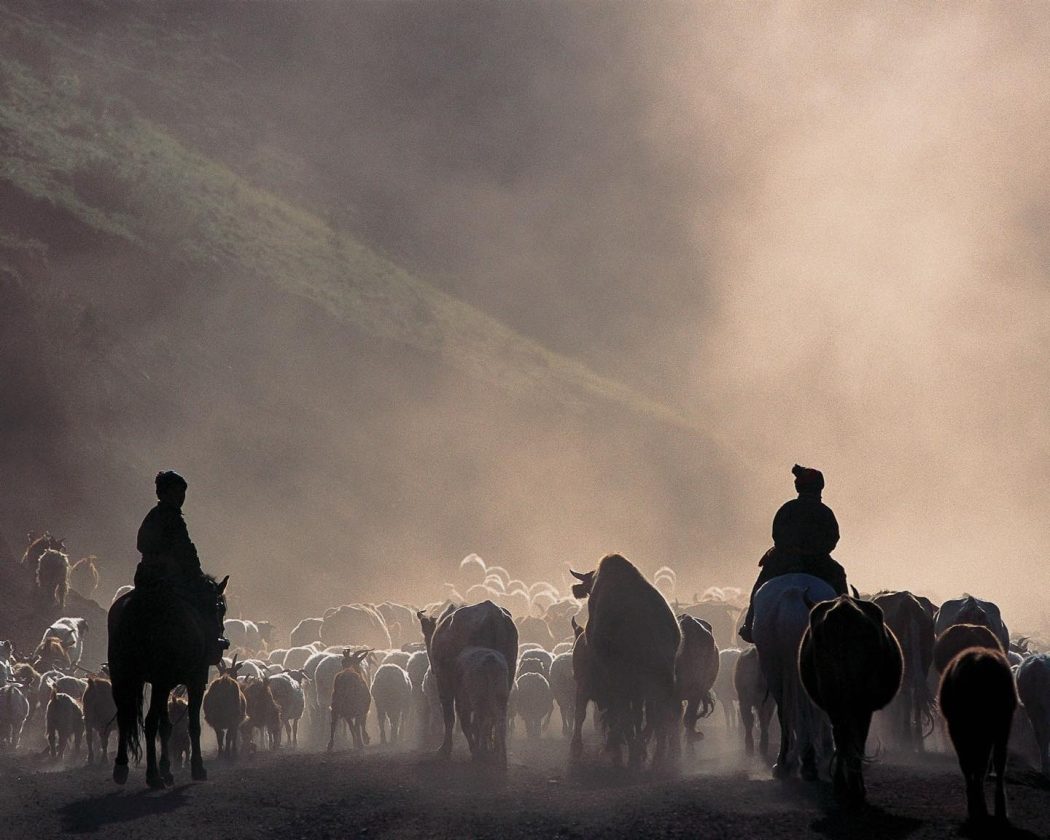 Увс аймаг, Улаан даваа